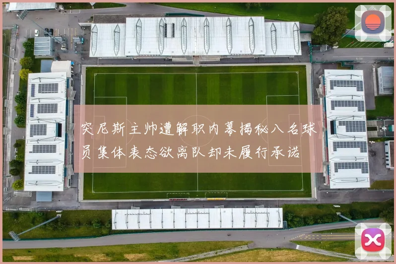 突尼斯主帅遭解职内幕揭秘八名球员集体表态欲离队却未履行承诺